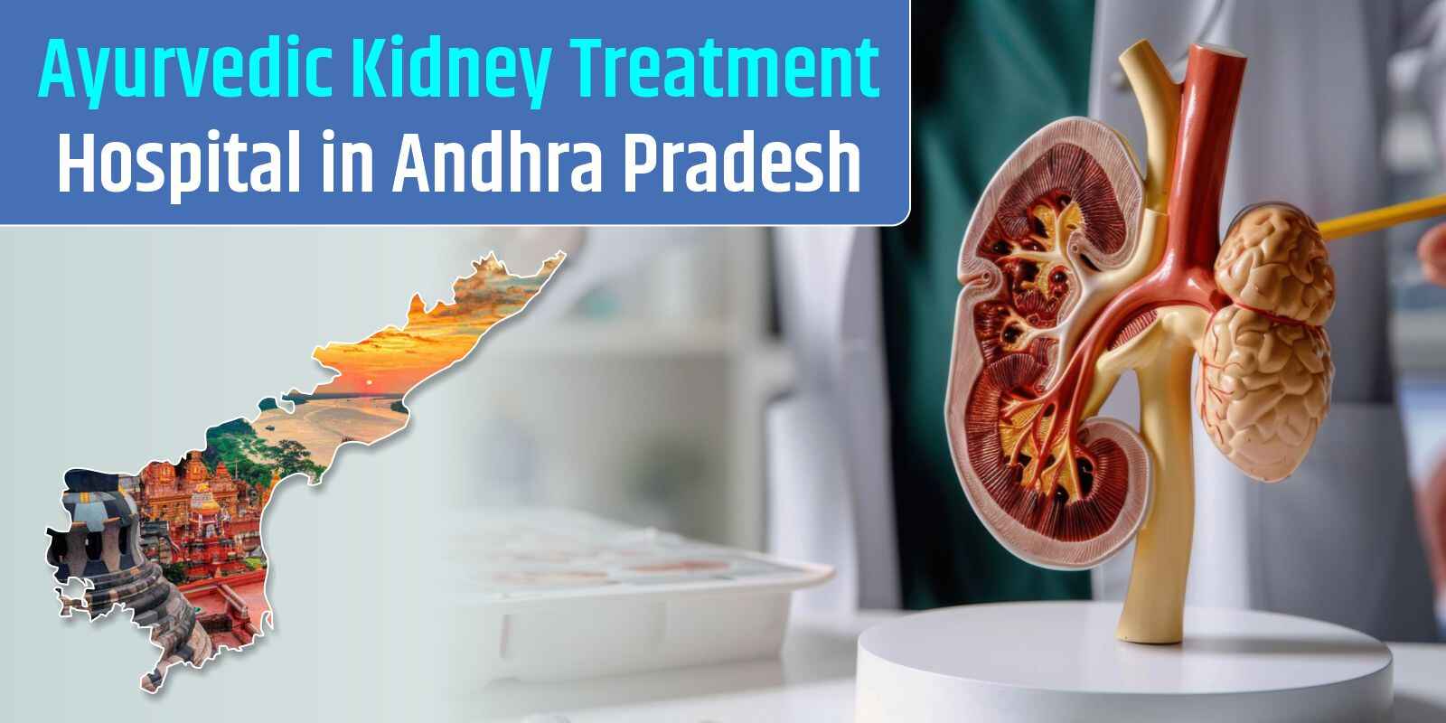 Ayurvedic Kidney Treatment Hospital in Andhra Pradesh